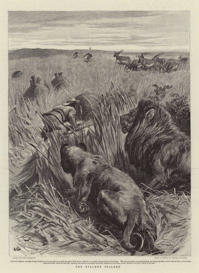 Il cacciatore cacciato da John Charlton