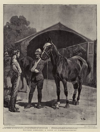 Compagni feriti, Una scena a Pietermaritzburg da John Charlton