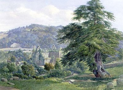 Abbazia di Tintern con il Wye oltre da John Chase