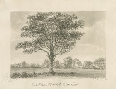 Boscobel - La Quercia Reale da John Chessell Buckler