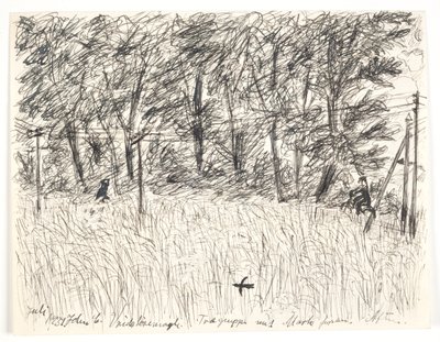 Vridsløsemagle. Gruppo di alberi con campo davanti. Sera da John Christensen