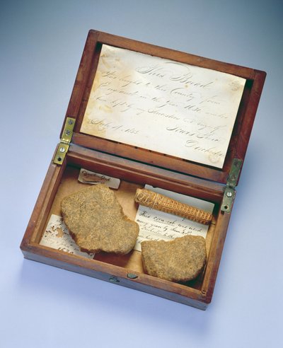 Scatola di reliquie, da Dorchester, Massachusetts da John Clapp