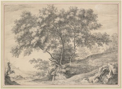 Un gruppo di alberi su uno sperone roccioso da John Claude Nattes