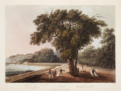 St. Cloud, Il Grande Viale di St. Cloud, Il Ponte di Sevres, ecc. ecc. da John Claude Nattes