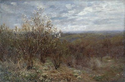 Primavera nella valle da John Clayton Adams