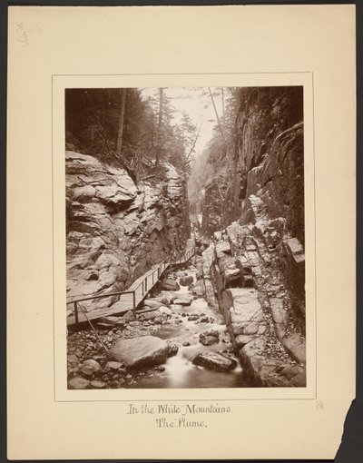 Nelle Montagne Bianche/The Flume da John Coates Browne