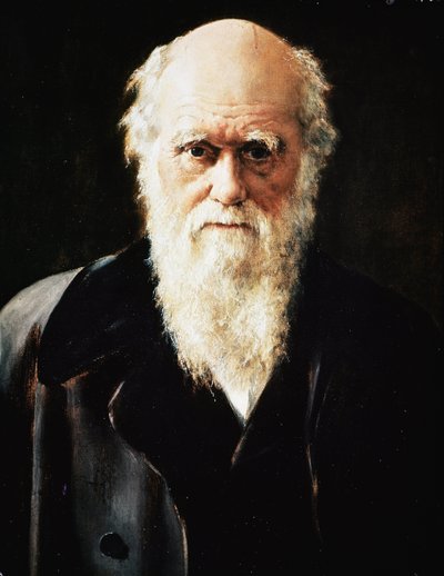 Ritratto del naturalista inglese Charles Darwin (dettaglio) da John Collier
