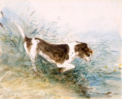 Un cane che osserva un topo nell