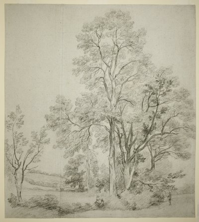 Un gruppo di olmi (recto); Uno studio di East Bergholt con la chiesa (verso) da John Constable