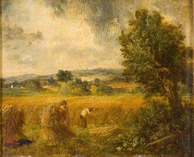 Un campo di grano da John Constable