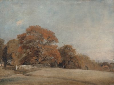 Un paesaggio autunnale a East Bergholt da John Constable
