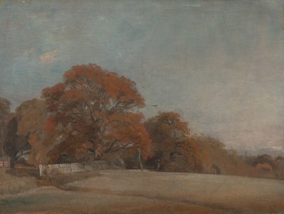 Paesaggio autunnale a East Bergholt da John Constable