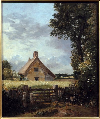 Cottage in un campo di grano da John Constable