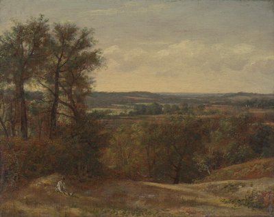 Valle di Dedham da John Constable