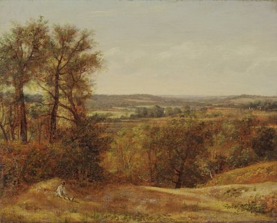 Dedham Vale da John Constable