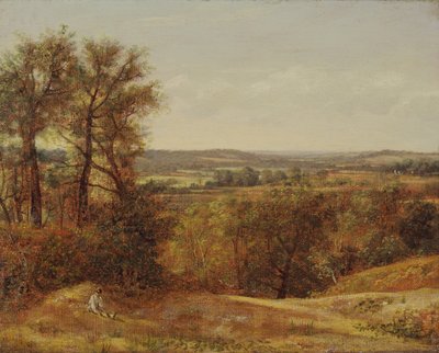 Dedham Vale da John Constable