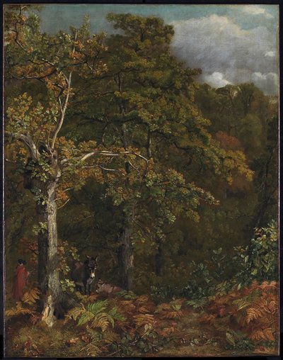 Bordo di un bosco, intorno al 1816 da John Constable