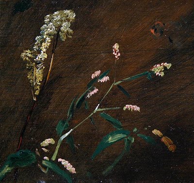 Studi di fiori: Persicaria e Filipendula da John Constable
