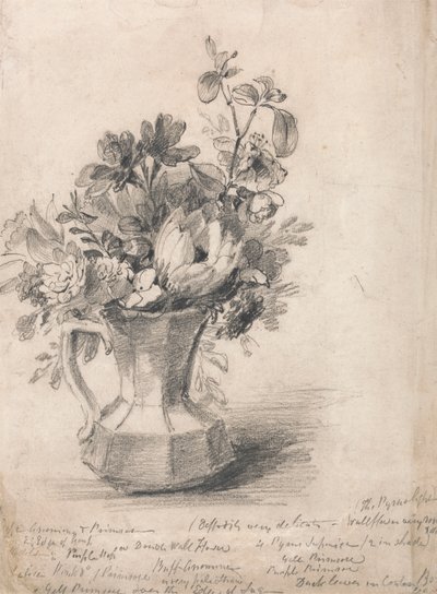 Fiori in una Brocca da John Constable