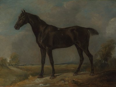 Il Cavallo Nero di Golding Constable da John Constable