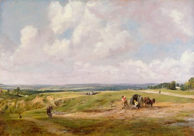 Hampstead Heath, c.1820 da John Constable