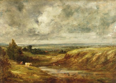 Hampstead Heath, c.1825-30 da John Constable