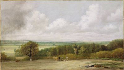 Paesaggio: Scena di aratura nel Suffolk (A Summerland) c.1824 da John Constable