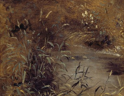 Canne vicino a una pozza, c.1821 da John Constable