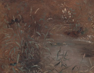 Canne presso una piscina da John Constable