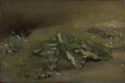 Studio di una bardana da John Constable