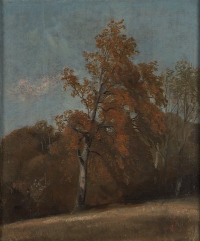 Studio di un frassino da John Constable