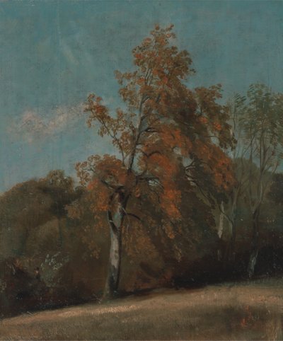 Studio di un frassino, tra il 1801 e il 1803 o tra il 1810 e il 1830 da John Constable