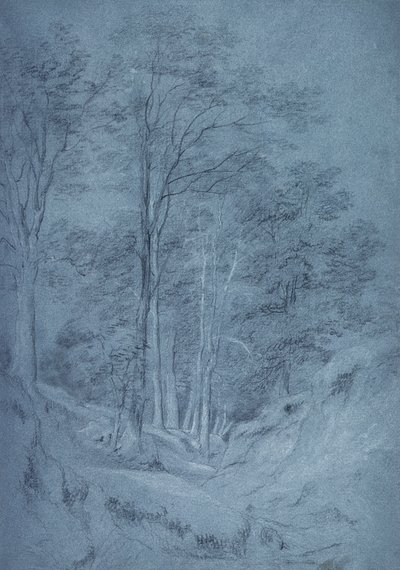 Studio di frassini e altri alberi da John Constable