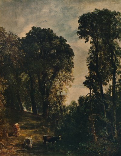 Alberi vicino alla chiesa di Hampstead, 1829, c1915 da John Constable