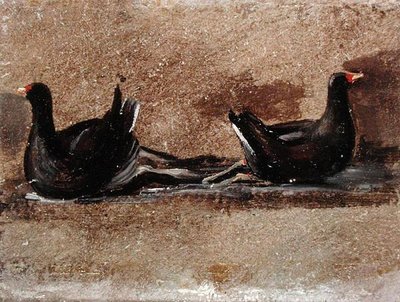 Due gallinelle d