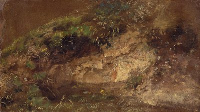 Sottobosco, c.1821 da John Constable