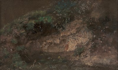Sottobosco da John Constable