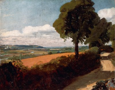 Vista dalla strada che porta a East Bergholt da John Constable