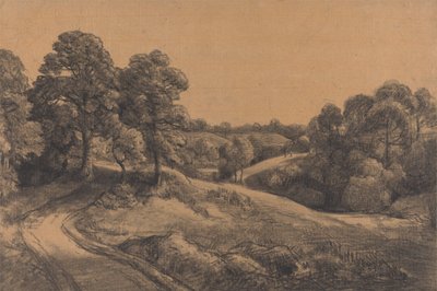 Pendio Boschivo con una Strada che Si Allontana da John Constable