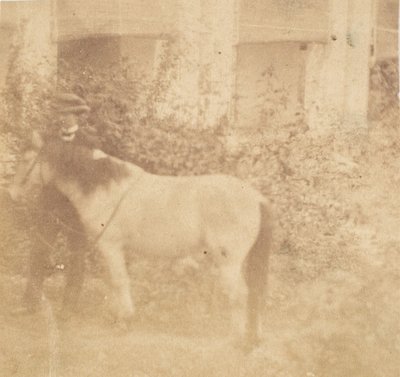 [Uomo e cavallo, Government House, Allahabad] da John Constantine Stanley