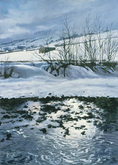 Fienile Sotto Combescar, 1996 da John Cooke