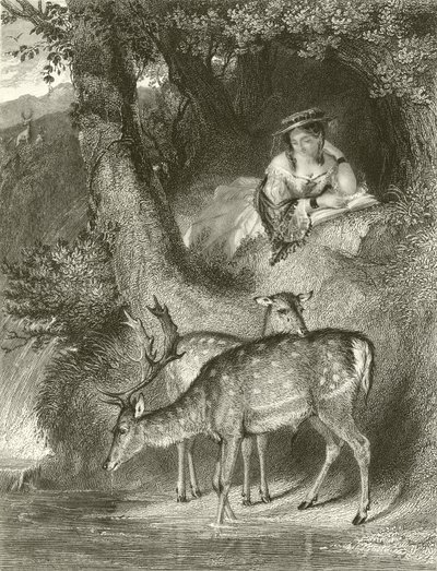 Solitudine montana da John Corbould