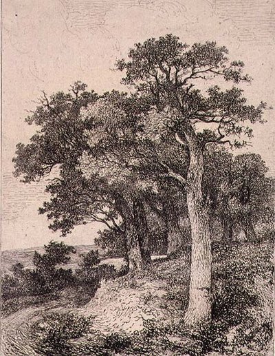 A Colney, pub. da J. & W. Freeman da John Crome