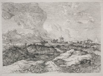 Mousehold Heath da John Crome