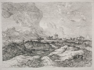 Mousehold Heath, c. 1810-13 da John Crome