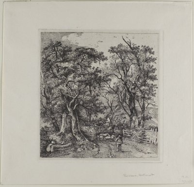 Scena di strada, Heathersett da John Crome