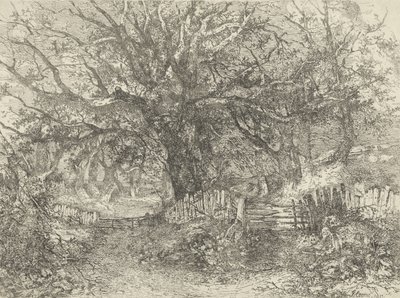 Scena di strada, Trowse Hall, 1813 da John Crome