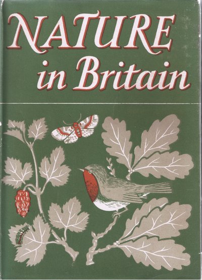 Studio di alberi, da "La natura in Gran Bretagna" pubblicato da Collins, 1946 da John Crome
