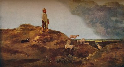 Vista su Mousehold Heath, vicino a Norwich da John Crome