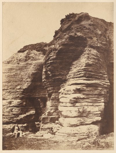 Rocce a Livermead vicino a Torquay, Inghilterra, c. 1852 da John Dillwyn Llewelyn